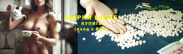 альфа пвп Медвежьегорск