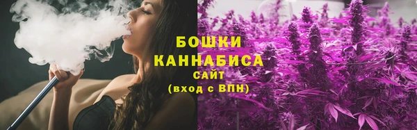 альфа пвп Медвежьегорск