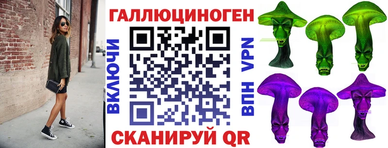 Псилоцибиновые грибы Cubensis закладки Гаврилов Посад